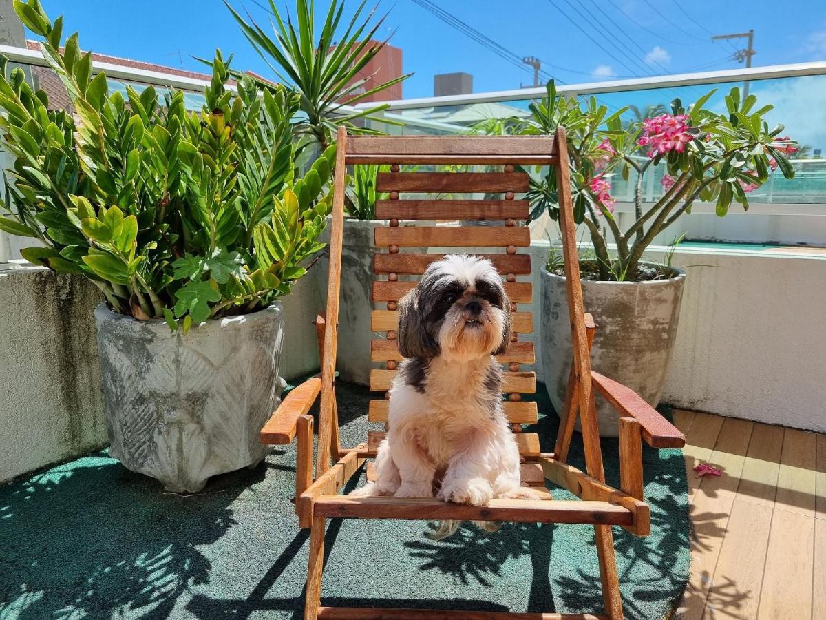 Areias Do Mar | 2 Quartos Garden Familia A113 Barra de São Miguel Eksteriør billede